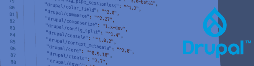 Pain free Drupal 8 to Drupal 9 upgrades